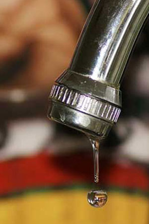 Home Bulk Kitchen Towels Gauteng