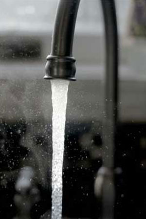 Home Eco-Friendly 1-Ply Options